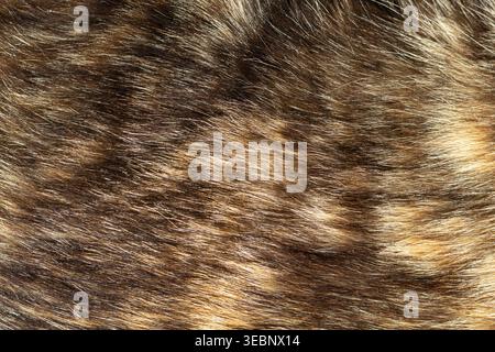 Nahtextur aus braunem und beigem Tierfell mit detaillierten Haarmustern Stockfoto