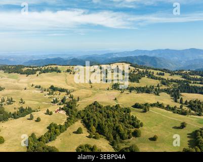 Aus der Vogelperspektive auf sanfte Hügel und smaragdgrüne Wiesen mit dunkelgrünen Baumgruppen unter hellem Himmel, Tuzla, Bosnien und Herzegowina. Stockfoto