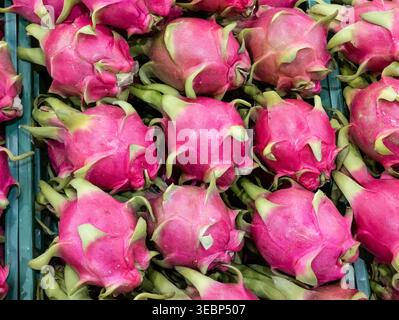 Nahaufnahme der Vollformatansicht frischer tropischer Drachenfrüchte. Perfekt für exotische Landwirtschaft, gesunde Ernährung und lebendige asiatische Fruchtsuppe Stockfoto