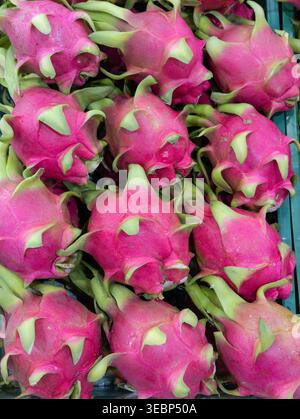 Nahaufnahme der Vollformatansicht frischer tropischer Drachenfrüchte. Perfekt für exotische Landwirtschaft, gesunde Ernährung und lebendige asiatische Fruchtsuppe Stockfoto