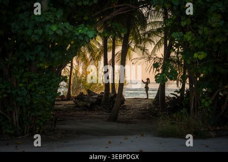 Blick auf eine einsame Figur, die sich vor dem Ozean befindet, umgeben von üppigem tropischem Laub und Palmen, auf der Insel Vashafaru, Thiladhummathi Atoll, Maldiv Stockfoto