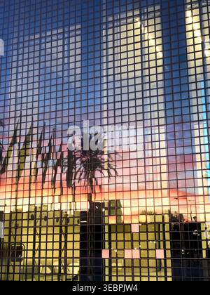 Modernes Gebäude mit Glasfenstern und Reflexion von Palm Tree Stockfoto