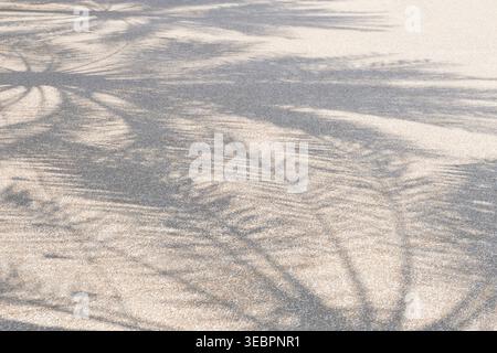 Tropischer Palmenschatten auf heller Steinoberfläche Stockfoto
