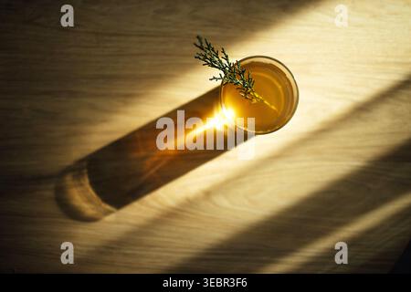 Glas gefüllt mit wacholderkaffee und einem Zweig wacholderzweig auf einem Holztisch, Sonnenlicht beleuchtet die Szene und wirft einen Schatten über den Tisch Stockfoto