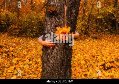 Weibliche Hände, die einen großen Baumstamm im Herbstwald umarmen, während sie orangefarbene Ahornblätter halten. Konzeptionelles Bild für Umweltschutz, Natur ther Stockfoto