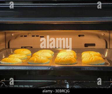 Frisch gebackene, hausgemachte Muffins in Pappbecher auf einem Blech im modernen Ofen Stockfoto