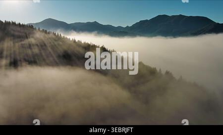 Sonnenstrahlen, die durch den nebeligen Wald in den Bergen leuchten Stockfoto