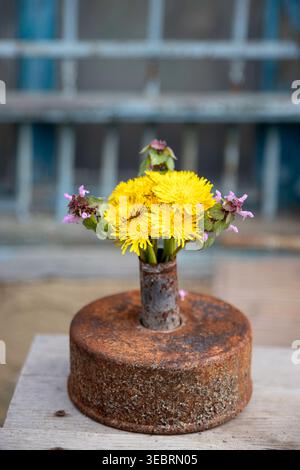 Gelber Löwenzahn und lila Totnessel Wildblumen in einer Vintage rostigen industriellen Metallzylindervase auf einem verwitterten hölzernen Tischhintergrund Stockfoto