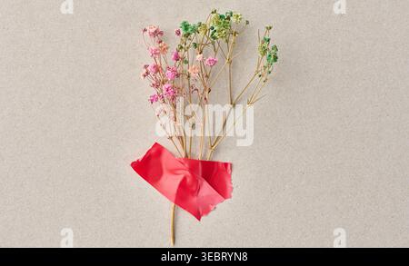 Ein Zweig rosafarbener und grüner getrockneter Blumen, mit rotem Band auf grauem Papierhintergrund geklebt, Minimalismus Stockfoto