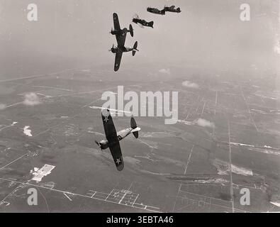 US Navy Brewster F2A-3 Buffalo Fighters während eines Trainingsfluges von der Naval Air Station (NAS) Miami, Florida (USA), 1942-1943. Stockfoto