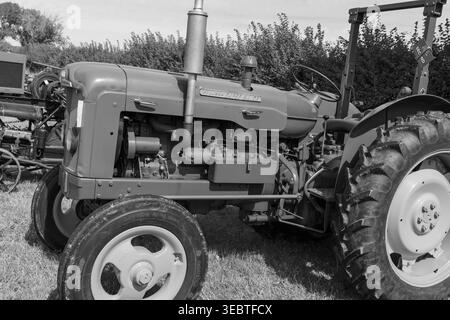 Dorchester.Dorset.Vereinigtes Königreich.6. September 2025.Ein restaurierter Fordson Super Major aus dem Jahr 1961 ist auf der Dorset County Show zu sehen Stockfoto