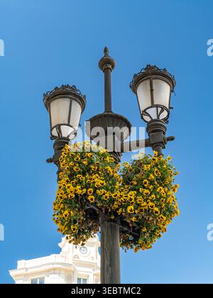 Verzierte Vintage-Straßenlaterne mit einem Hängekorb aus hellgelben Stiefmütterchen, die an einen klaren blauen Himmel und ein elegantes Stadtgebäude erinnert Stockfoto