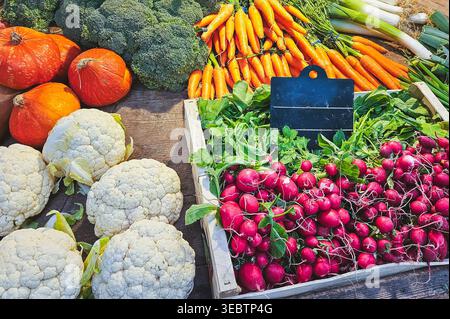 Blumenkohl, Kürbisse, Karotten und Radieschen in rustikalen Holzkisten mit Brokkoli und Grün. Lebhafter Bauernmarkt, saisonale Ernteprodukte Stockfoto