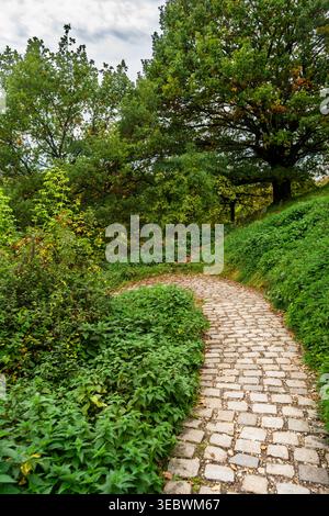 Gepflasterter Wanderweg, der durch einen grünen Hangpark mit Herbsteichenbäumen führt, Olympiapark-Gebiet, München, Bayern, Deutschland Stockfoto