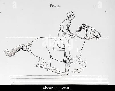 Historische Illustration, die ein Pferd und Reiter galoppiert, zeigt eine spezifische Phase der Bewegungsanalyse des Pferdes, betont Bewegung und wissenschaftliche Beobachtung aus einer antiken Studie. Das Pferd in Bewegung, wie es durch sofortige Fotografie gezeigt wird, mit einer Studie über Tiermechanik, die auf Anatomie und Enthüllungen der Kamera basiert, in der die Theorie der Quadrupedal-Fortbewegung von Jacob Davis Babcock Stillman, 1819–1888, gezeigt wird; Eadweard Muybridge, 1830-1904, veröffentlicht 1882 Stockfoto