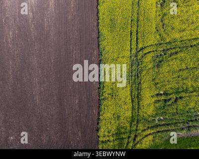 Eine klare Trennung zwischen braunem, bearbeitetem Land und lebhaftem Grün mit einem schmutzigen Pfad, der an ihnen entlang verläuft. Sonnenlicht erhellt die Landschaft in einem ländlichen A Stockfoto