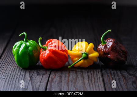 Gemischte Habanero-Paprika in der Reihe auf dunklem Hintergrund minimale Zusammensetzung. Frische Chili-Sorten mit grüner, roter, gelber Schokolade Stockfoto