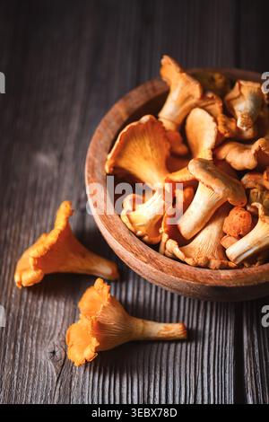 Pfifferling-Pilze auf Holztisch schaffen rustikales Stillleben. Wilde Pilze, Bio-Lebensmittel, Herbsternte Stockfoto