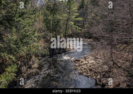 Im Frühjahr fließt ein sich windender Fluss durch eine felsige Waldlandschaft in Maine, USA. Stockfoto