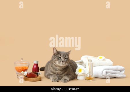Spa-Komposition und süße graue Katze auf braunem Hintergrund Stockfoto