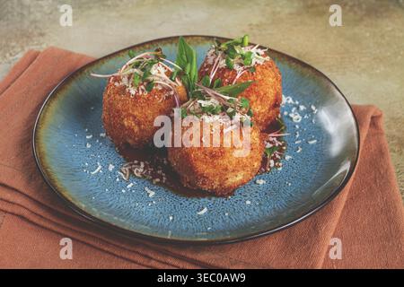 Knusprige Arancini-Vorspeise mit Parmesan und Mikrogrün, Teller, Tomatensauce, hausgemacht, keine Leute Stockfoto