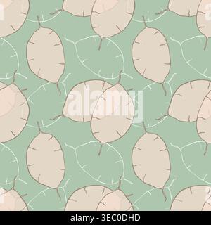 Minimalistisches stilisiertes nahtloses Muster mit einer Lunaria-Samenkapsel, einer handgezeichneten Skizze der Pflanze auf einem salbeigrünen Hintergrund und eignet sich für OP Stock Vektor