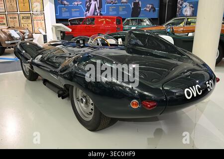 1954 Jaguar D-Type Rennwagen. Stockfoto