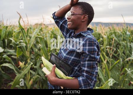 Afrikanischer Bauer inspiziert seine Maisplantage, hält Maiskolben und Tablette Stockfoto