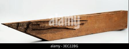 Beschädigt mit Termiten Holzplanke isoliert auf Studiohintergrund Stockfoto