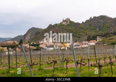 Blick über Weinberge nach Dürnstein, einer kleinen Stadt an der Donau im Krems-Land-Bezirk im österreichischen Bundesland Niederösterreich EU Stockfoto