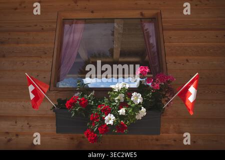 Eine direkte Aufnahme eines quadratischen Fensters in einer Holzdiele. Es verfügt über rot-weiß karierte Vorhänge und einen Blumenkasten, der mit Rot und wh gefüllt ist Stockfoto
