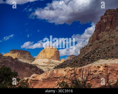 Golden Throne, Capitol Reef National Park, Utah. Stockfoto
