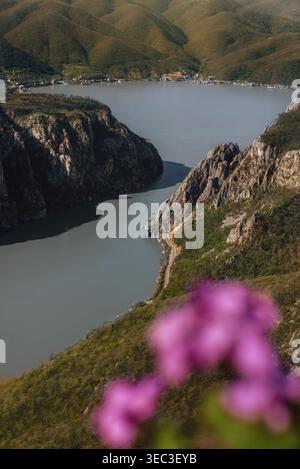 Malerischer Blick auf die Donau und die Iron Tates Gorge Stockfoto