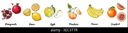 Hand gezeichneter Vektor-Satz von Früchten Granatapfel, Zitrone, Apfel, Mandarine, Banane, Grapefruit Stock Vektor
