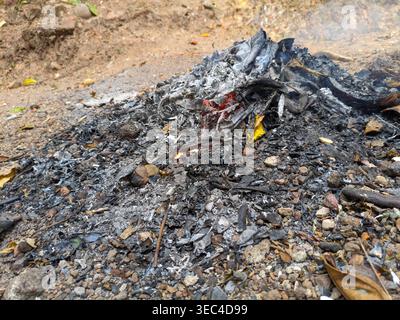 Feuer brennt durch trockene Blätter mit hellroter Glut und schwarzer Asche Stockfoto