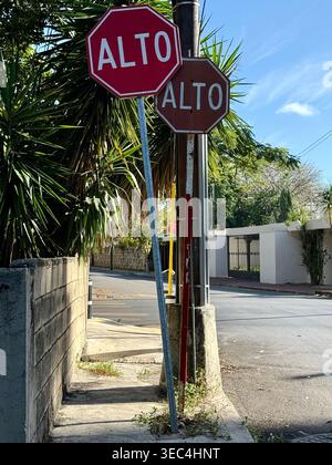 Zwei spanische Stoppschilder „Alto“ in einer ruhigen Wohnstraße in Mérida, Yucatán, Mexiko Stockfoto
