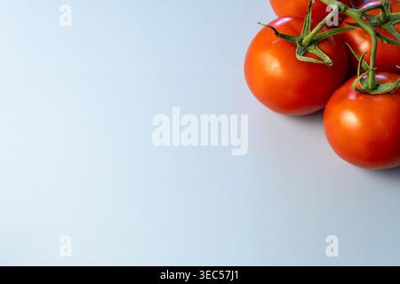 Tomaten auf der Rebe in der Bildecke mit Kopierraum auf einfachem Hintergrund Stockfoto