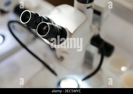 Nahaufnahme eines im Einsatz befindlichen wissenschaftlichen Binokularmikroskops, das die biologische Forschung und den präzisen Laborablauf unterstreicht. Stockfoto