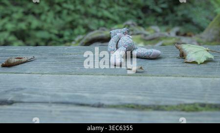 Eine Stoffpuppe, die mit dem Gesicht nach unten auf verwitterten grauen Holzdielen neben einer Schneckenschale und einem gefallenen Blatt in einer Waldumgebung liegt. Ein leise melancholisches Stillleben mit erzählerischer Tiefe. Stockfoto