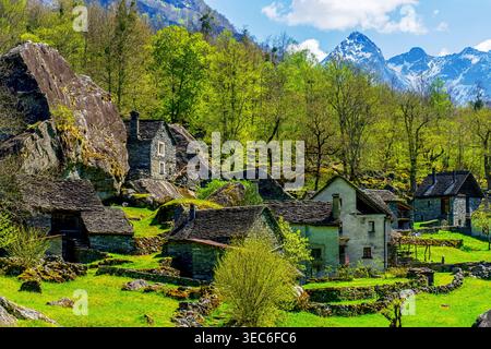 Spektakuläre Aussicht auf den Weiler Sabbione im Bavona-Tal. Der Kanton Tessin, Schweiz. Stockfoto