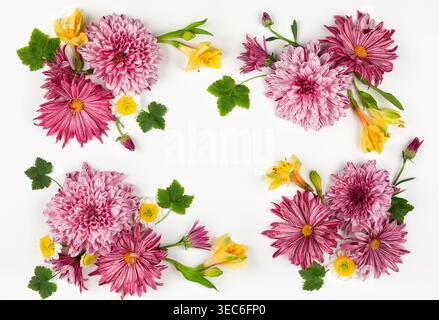 Schöne rosa Blumen auf weißem Hintergrund. Blumenzusammensetzung. Blumenkonzept für den Sommer. Flache Ladefläche, Kopierraum. Stockfoto