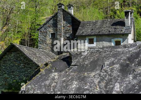 Traditionelles Steinhaus, genannt Rustico im Dorf Ritorto im Val Bavona, Kanton Tessin, Schweiz. Stockfoto