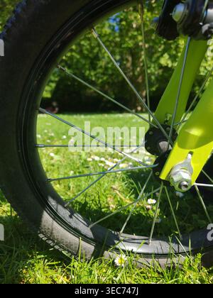 Grünes Grasfeld mit Kamillenblüten und blauem Himmel im Hintergrund durch das Radrad Stockfoto