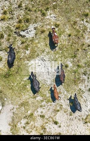 Aus der Vogelperspektive auf Almweiden im Aostatal, Italien während der Sommersaison Stockfoto