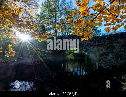 Blick auf das goldene Herbstdach mit Morgensonnendurchbruch durch Äste über einer alten Steinbrücke Stockfoto