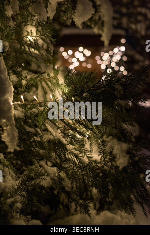 Schneebedeckter Thuja-Busch, beleuchtet von warmen gelben Feenlichtern bei Nacht, mit weichen Bokeh-Lichtern im Hintergrund. Gemütliche Winterszene mit festlichem geldautomaten Stockfoto