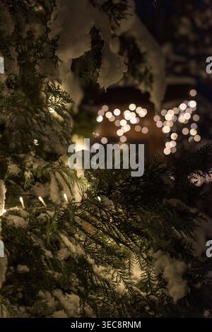 Schneebedeckter Thuja-Busch, beleuchtet von warmen gelben Feenlichtern bei Nacht, mit weichen Bokeh-Lichtern im Hintergrund. Gemütliche Winterszene mit festlichem geldautomaten Stockfoto