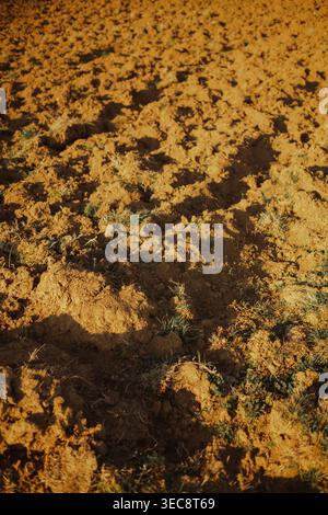 Trockene Bodenstruktur mit Rissen und Erosion, Dürre und Klimawandel Stockfoto