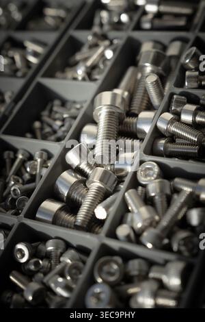 Nahaufnahme von Edelstahlschrauben in Kunststoff-Organizer-Box, selektiver Fokus für industrielle Hardware Stockfoto