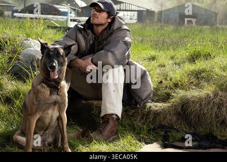 Der Hund Ist Jacob Elordi Stockfoto